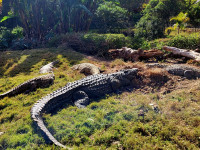 /album/fotogaleria-madagaskar-zajazd-vy-a-my1/madagaskar-zajazd-73-jpg2/